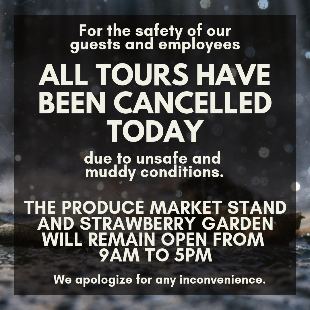 CLOSED RAIN.png
