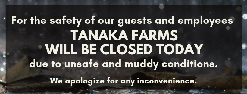 Copy of CLOSED RAIN.png