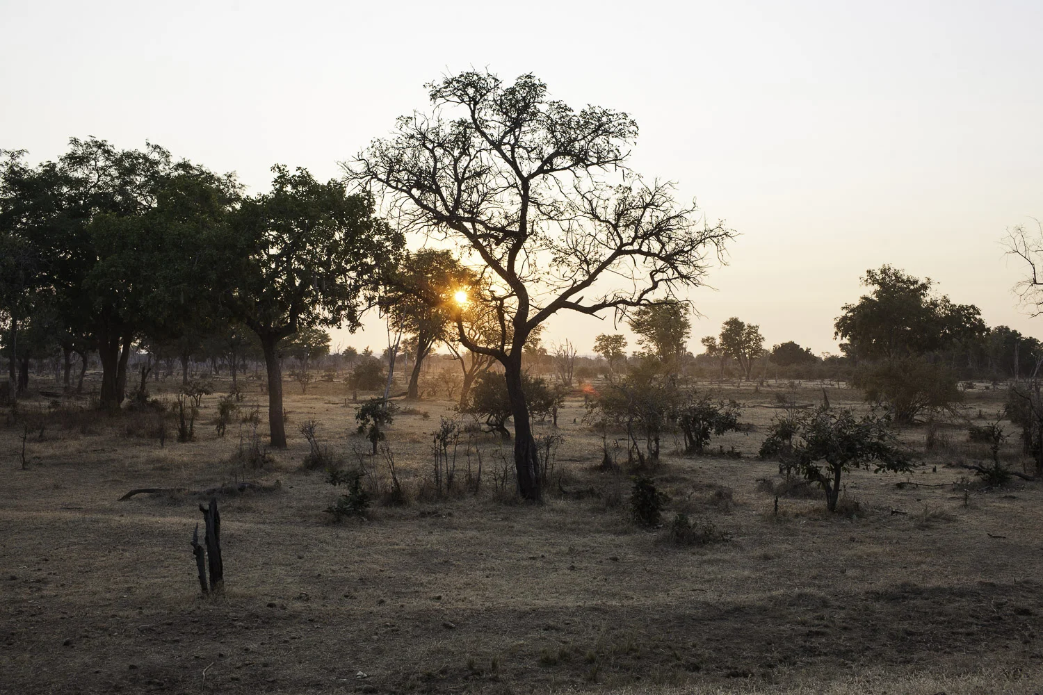 AdrianFisk-SouthLuangwaNationalPark-WebsiteEdit-15-2.jpg