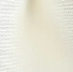 ivory web.jpg
