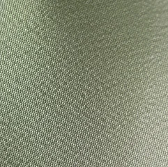 leaf web.jpg