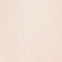 blush web.jpg