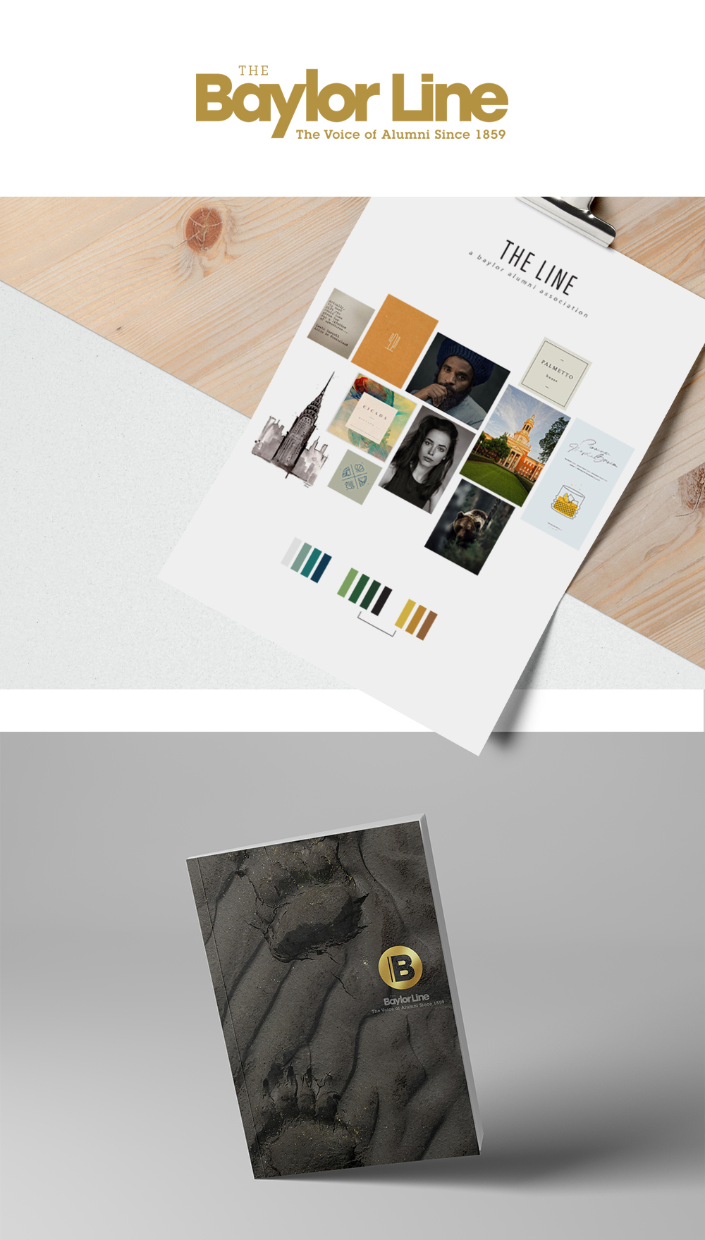 THE BAYLOR LINE FOUNDATION MAGAZINE - CEDAR GANDY