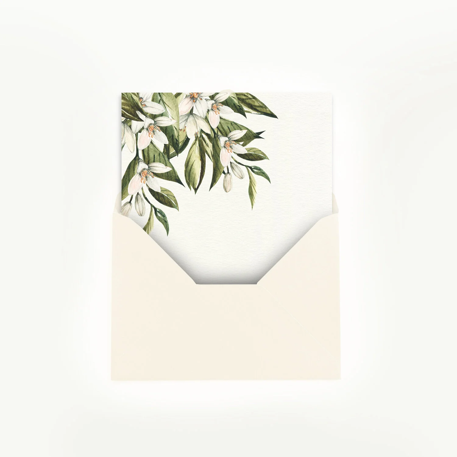 Cedar Gandy Card Set