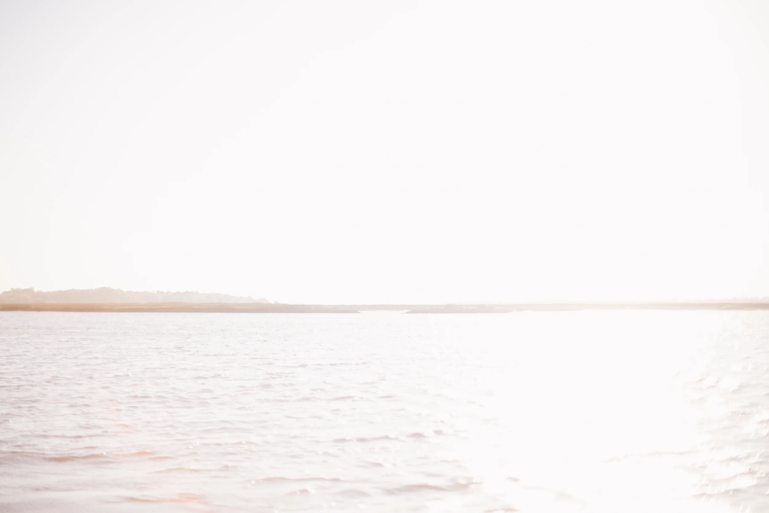 tybee-9054.jpg
