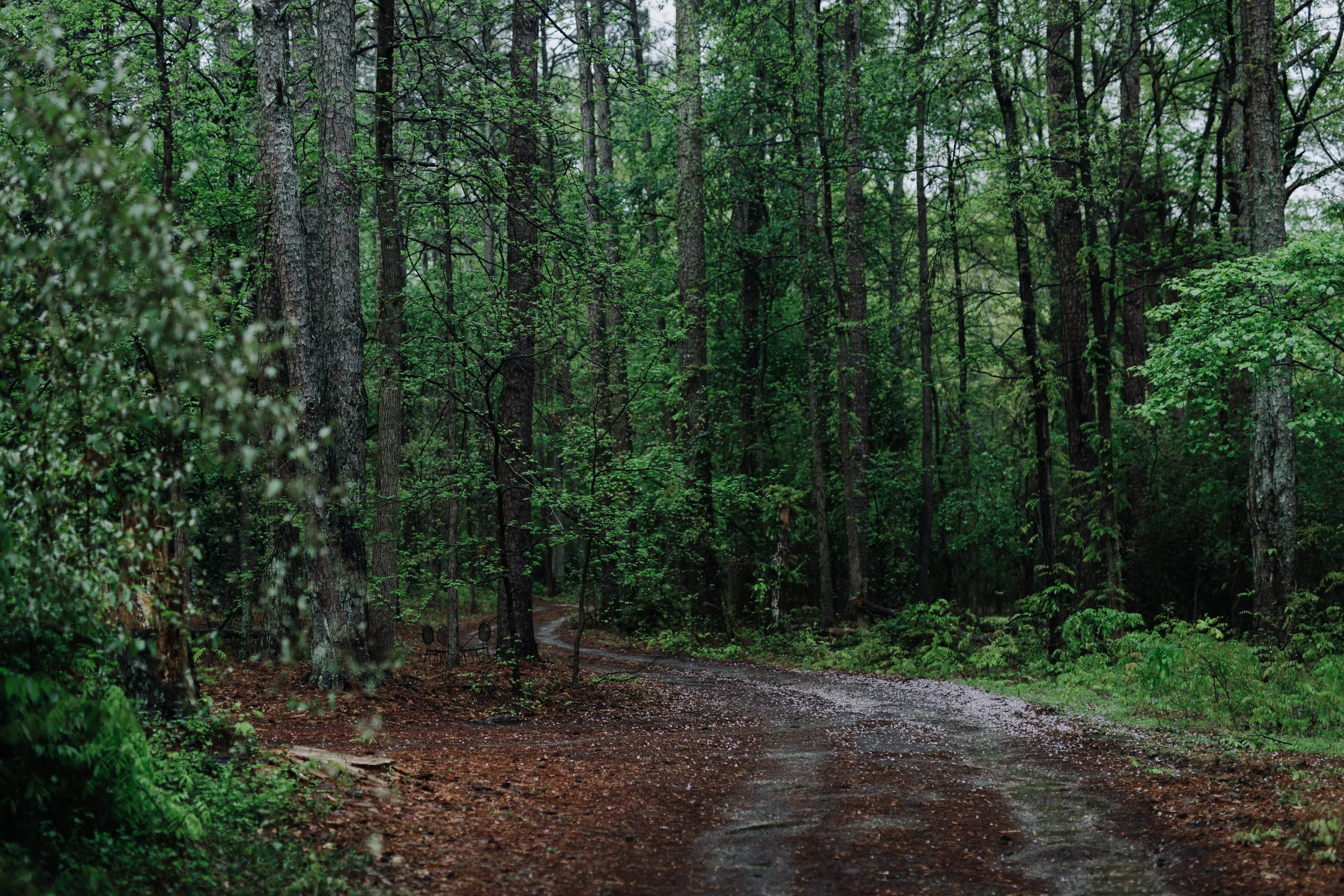 spring 2019-1407.jpg