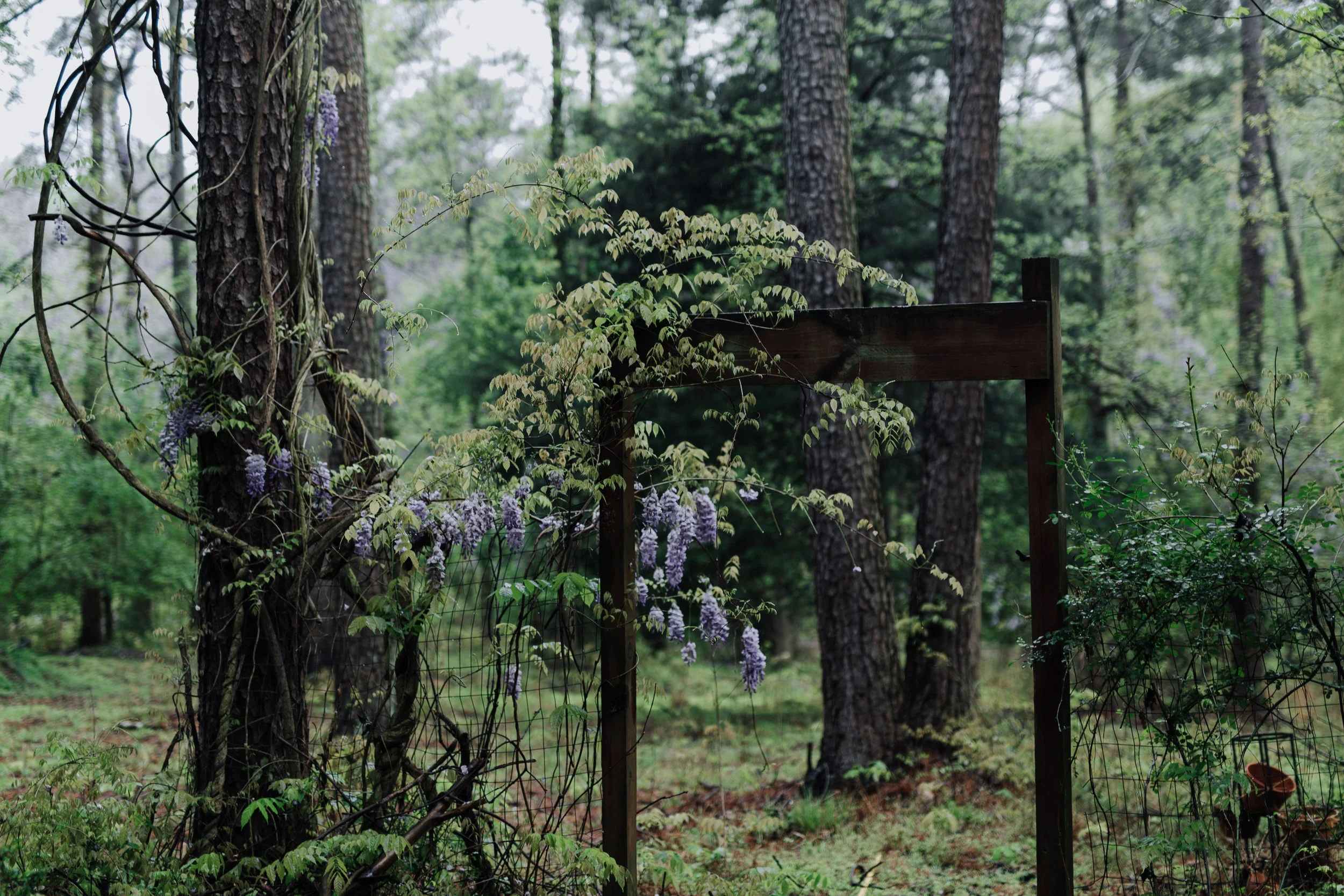 spring 2019-1415.jpg