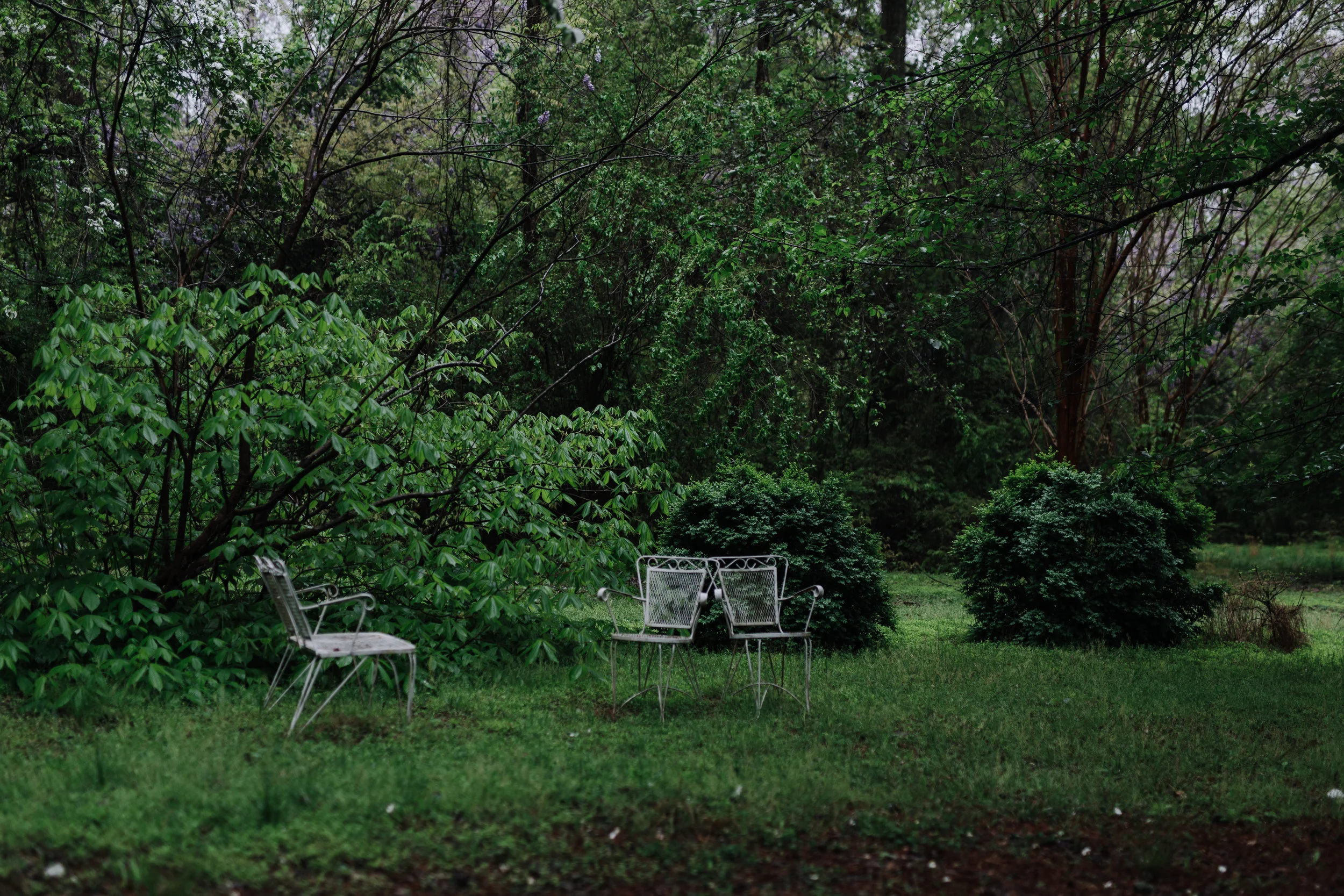 spring 2019-1411.jpg