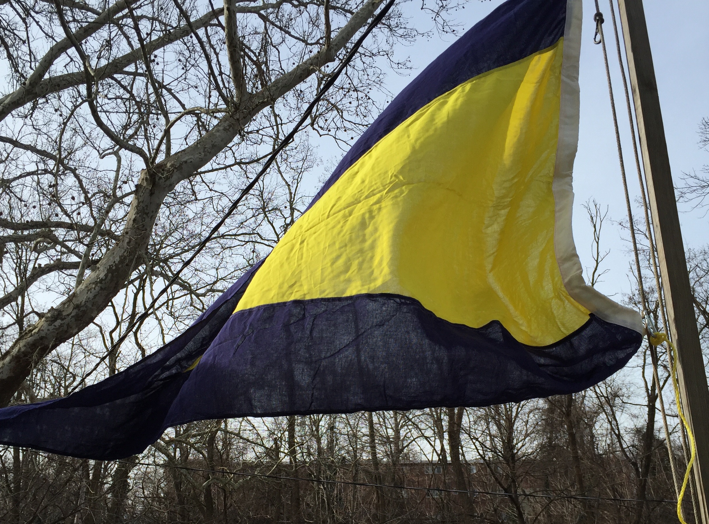 General Recall Flag