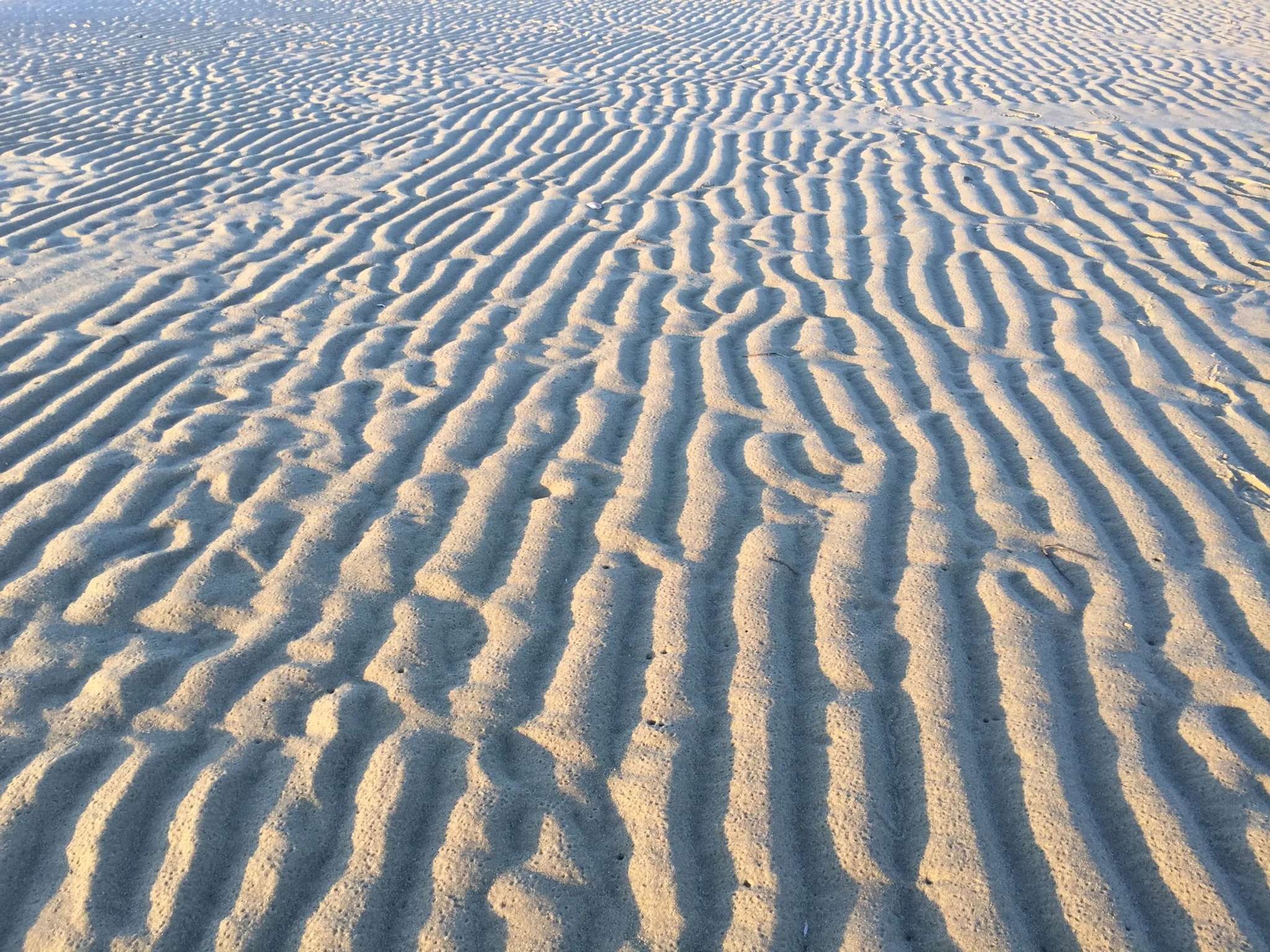 Low tide at one of the beaches at our beloved Cape Cod.