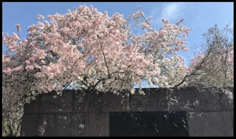 Scenes from the FDR Memorial...