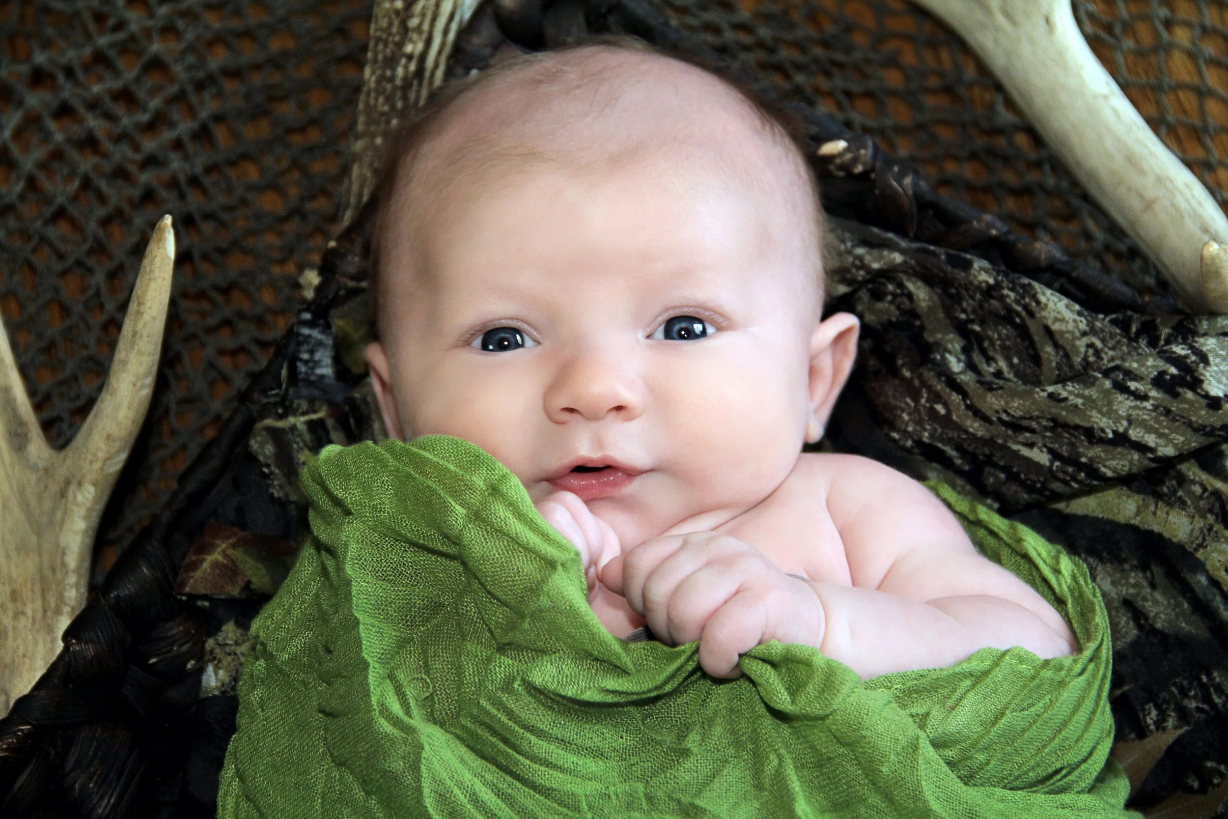 IMG_3022A_lr.jpg