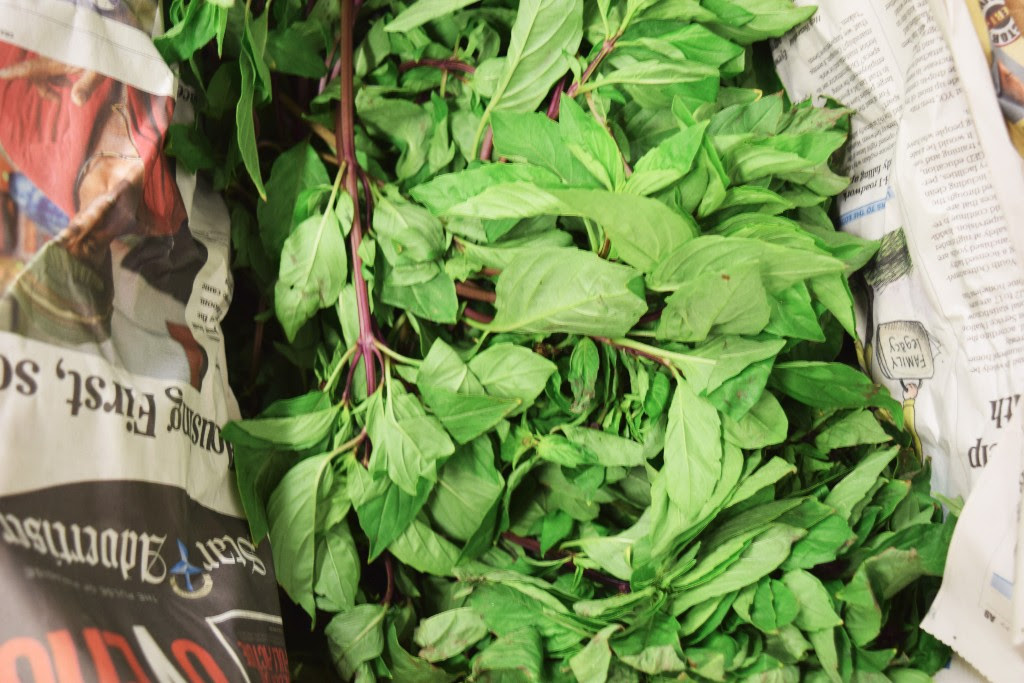 Fresh Thai Basil at our Commissary