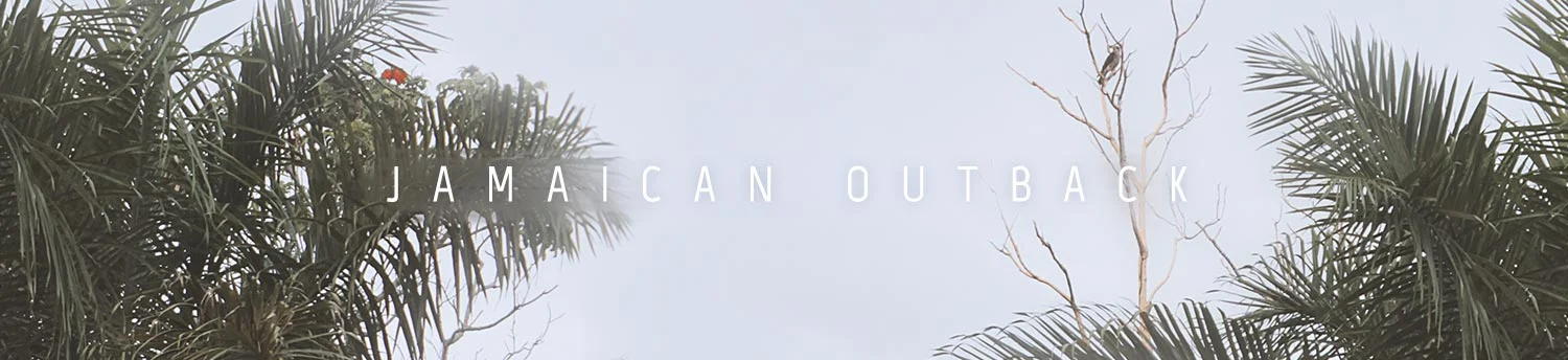 00_jamaica_head_outback.jpg