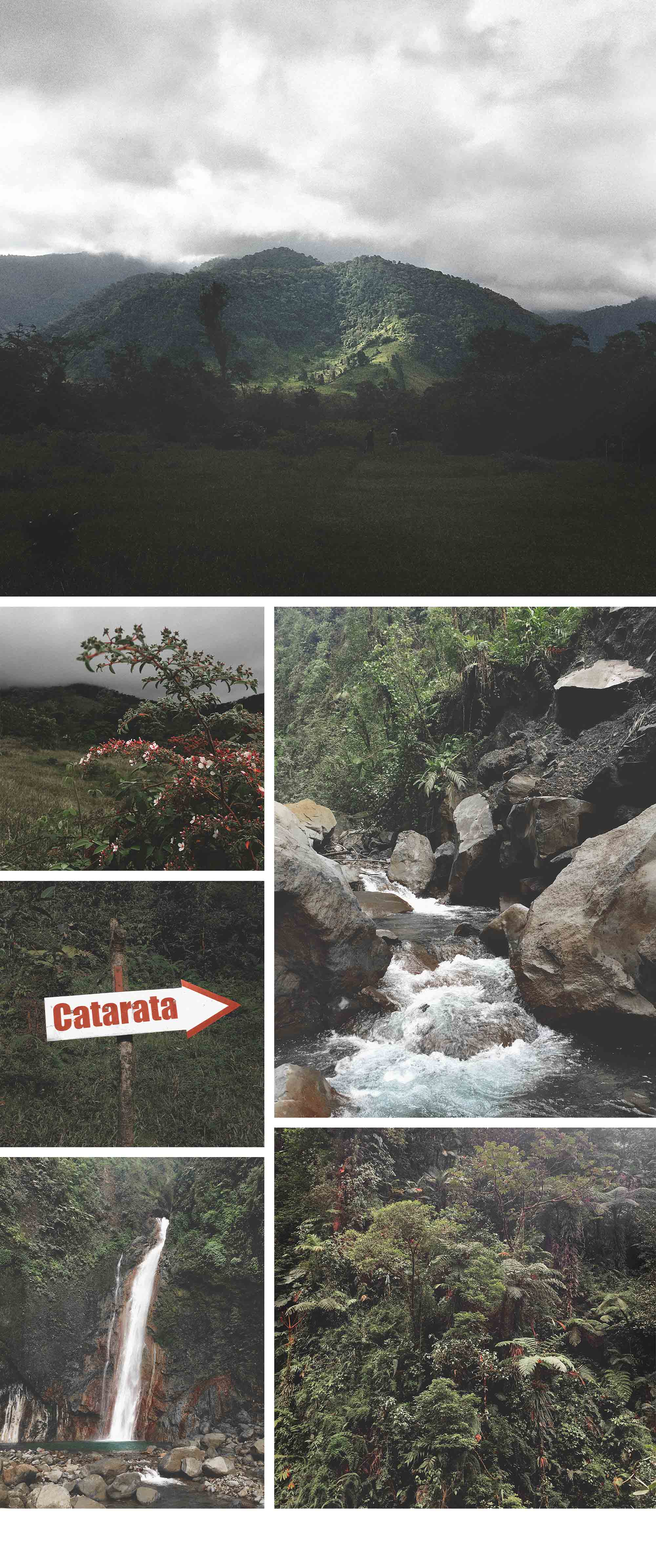 181128_CostaRica_jungle.jpg