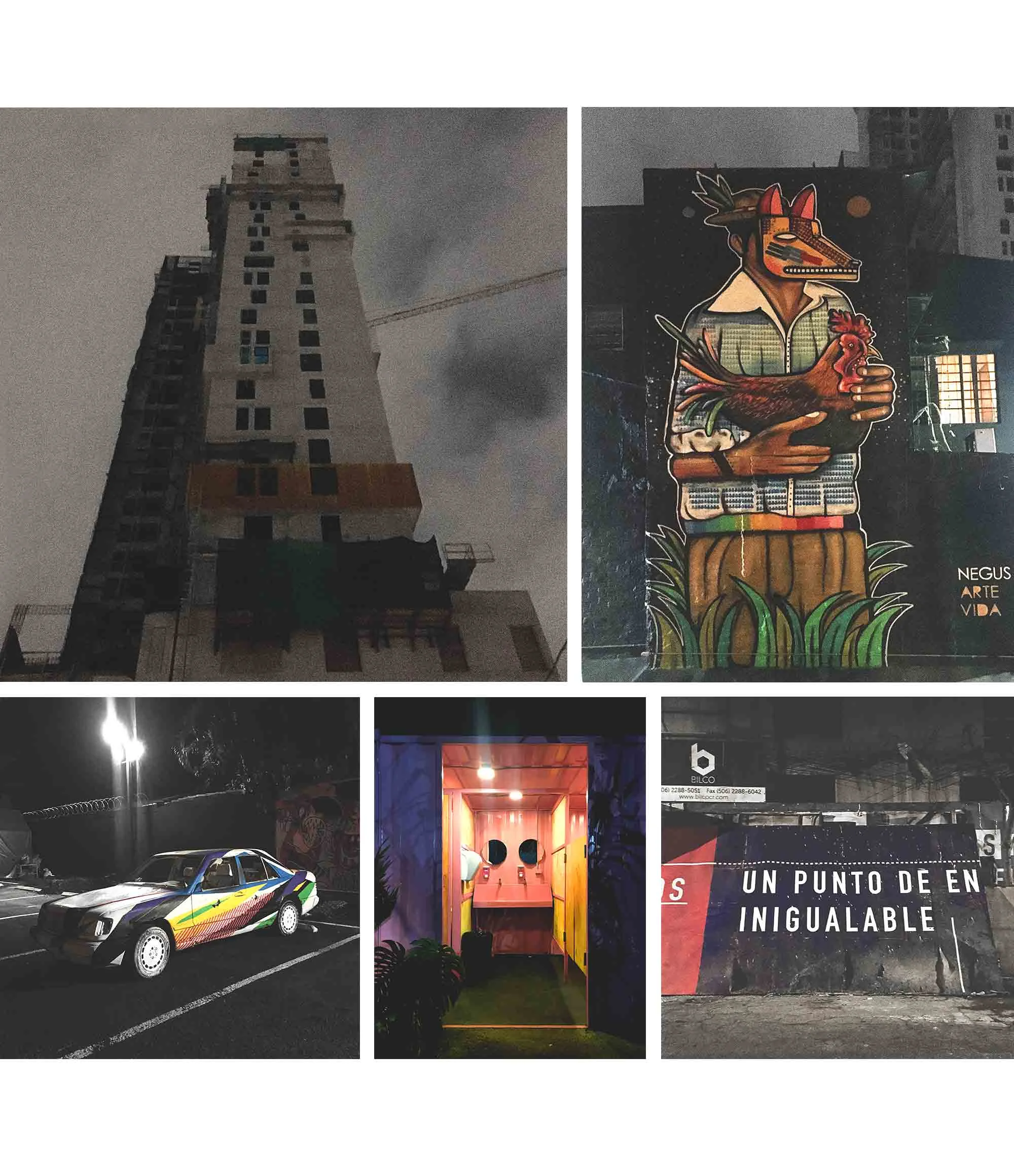 181128_CostaRica_rosablu.jpg