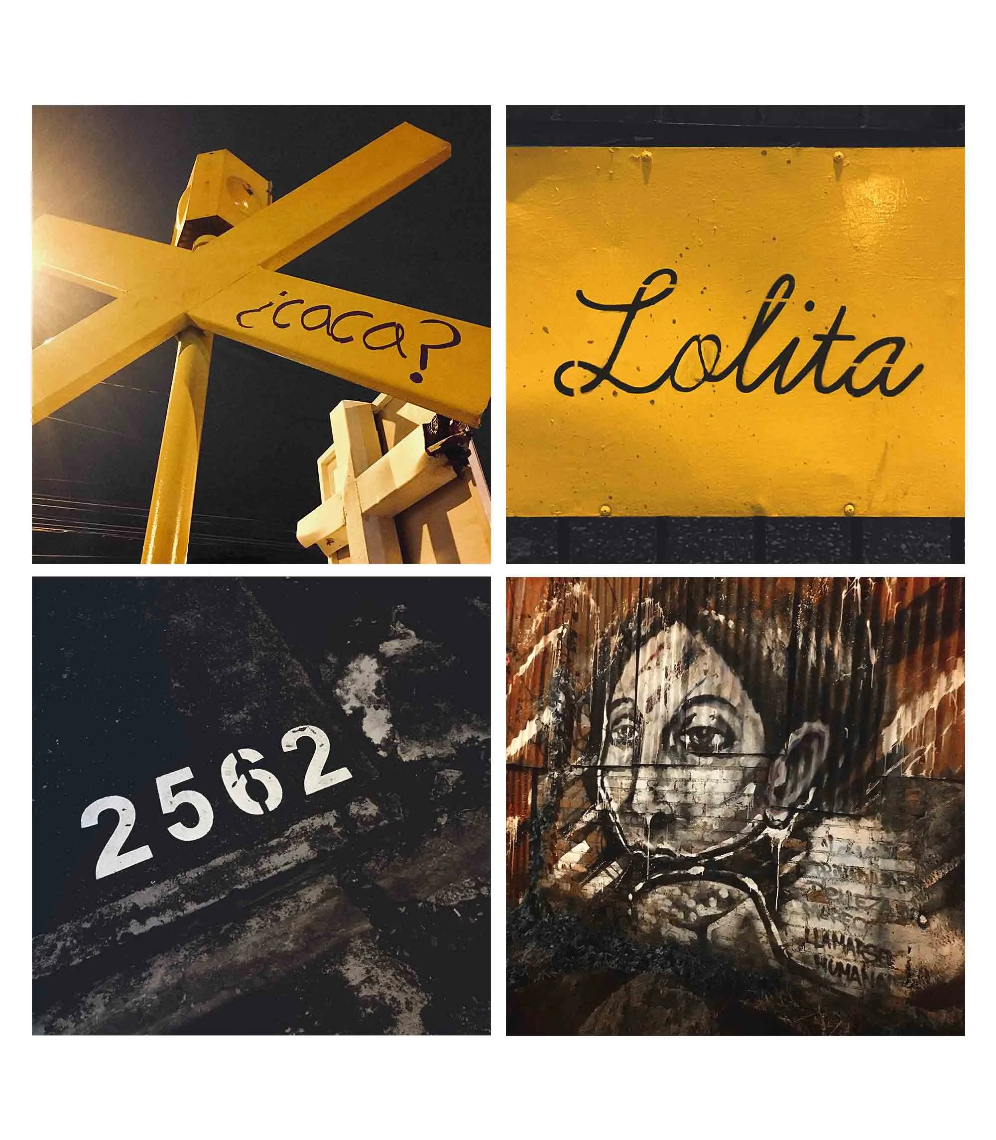 181128_CostaRica_lolita.jpg