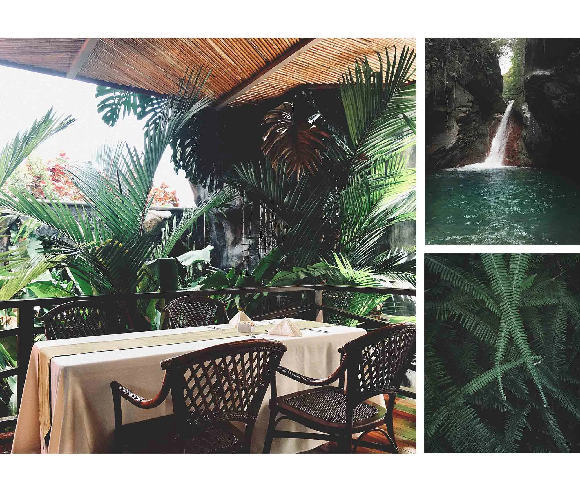 181128_CostaRica_junglerestaurant.jpg
