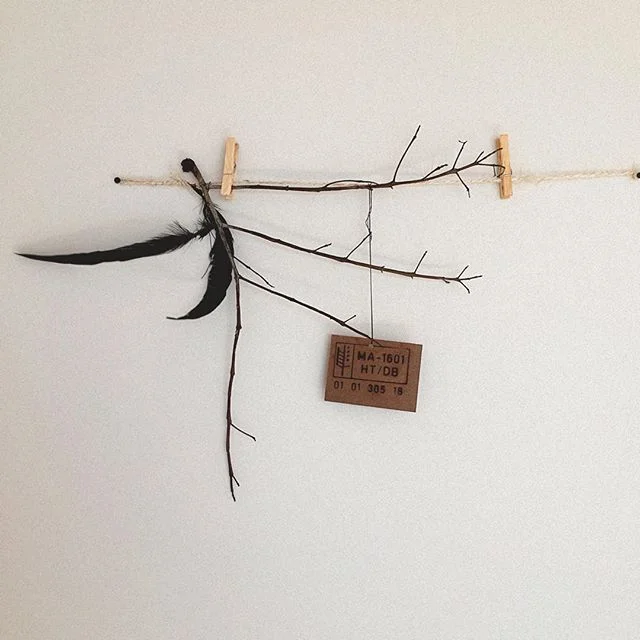 Magic still-lifes here and there. 🦅
+
+
+
+
+
+
#cock #feather #black #deco #sign #industrial #boho #hang #deco #wall #pared #clean #army #stencil #burn #wood #branch #stillife
#andromedaeden #lifeinandrmeda #tulum #mexico #tulumlifestyle #airbnb #t