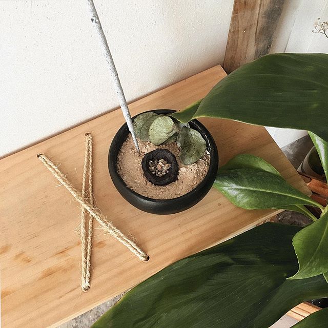 Feel free to light up your fires
+
+
+
+
+
+
#incence #sticks #copal #smoke #frankincense #room #sand #beach #dirt #vassel #black #natural #goods #x #wood #bench #eucalypto #plant #green #diy #magic #andromedaeden #lifeinandromeda #tulum #mexico #tul