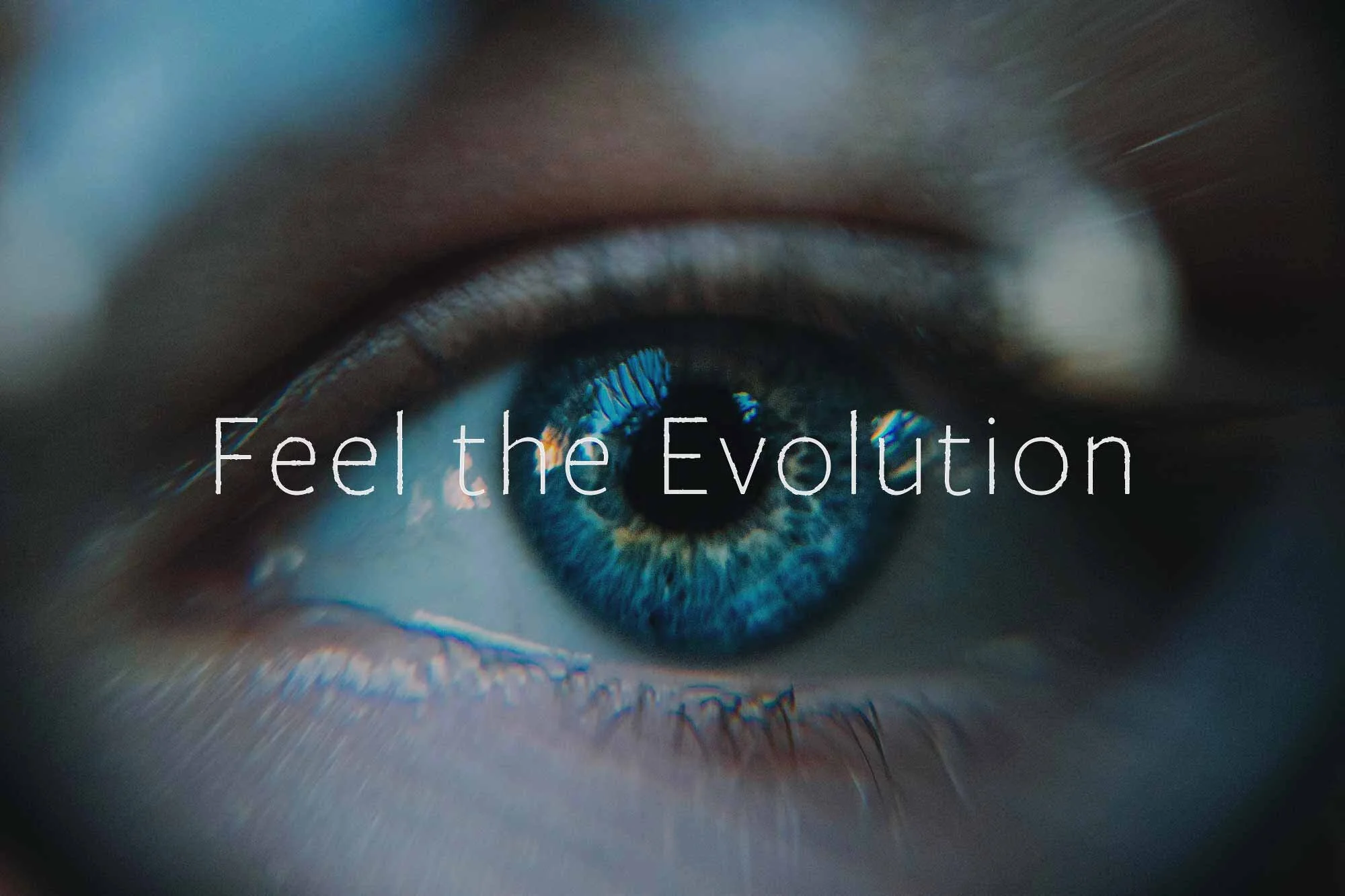 01v2_Evobay_KeyVis-+-Slogan.jpg