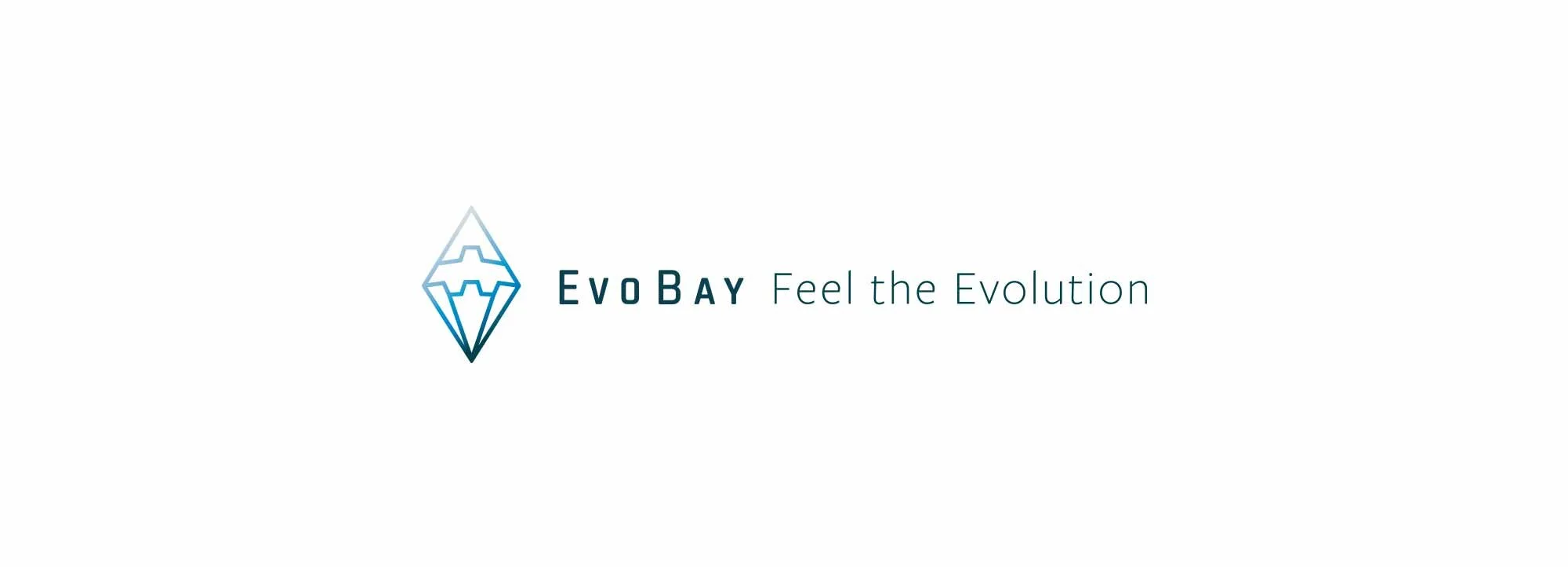 12_Evobay_Footer_Slogan.jpg