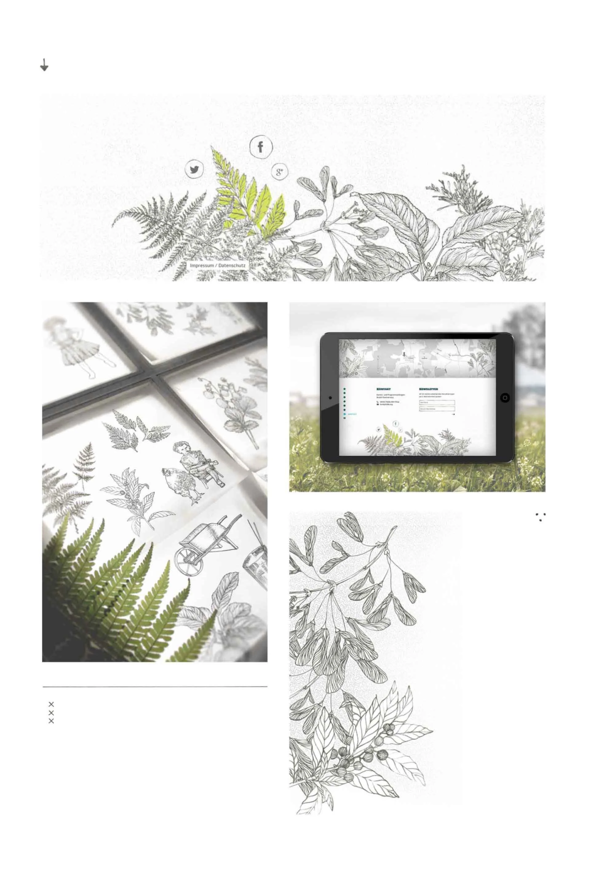 181011_still_ferns.jpg