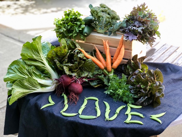 Produce from Spoon Full Farm | A Braver Brand with Kate K. McCarthy