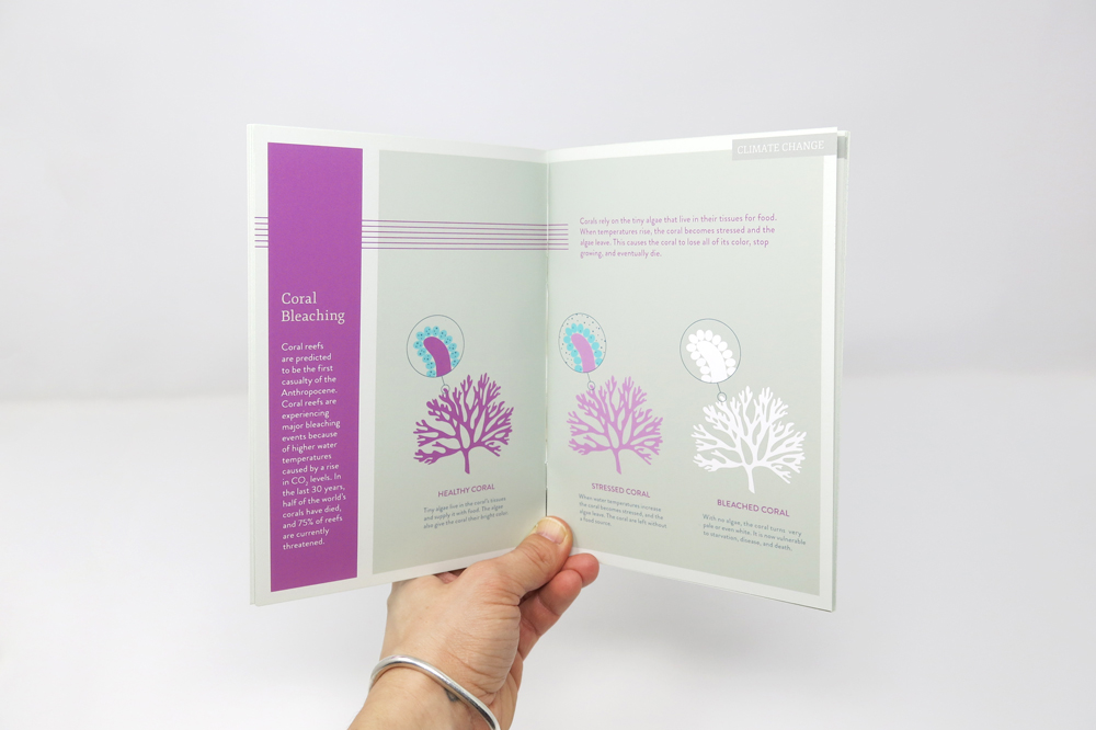 booklet-coral.jpg