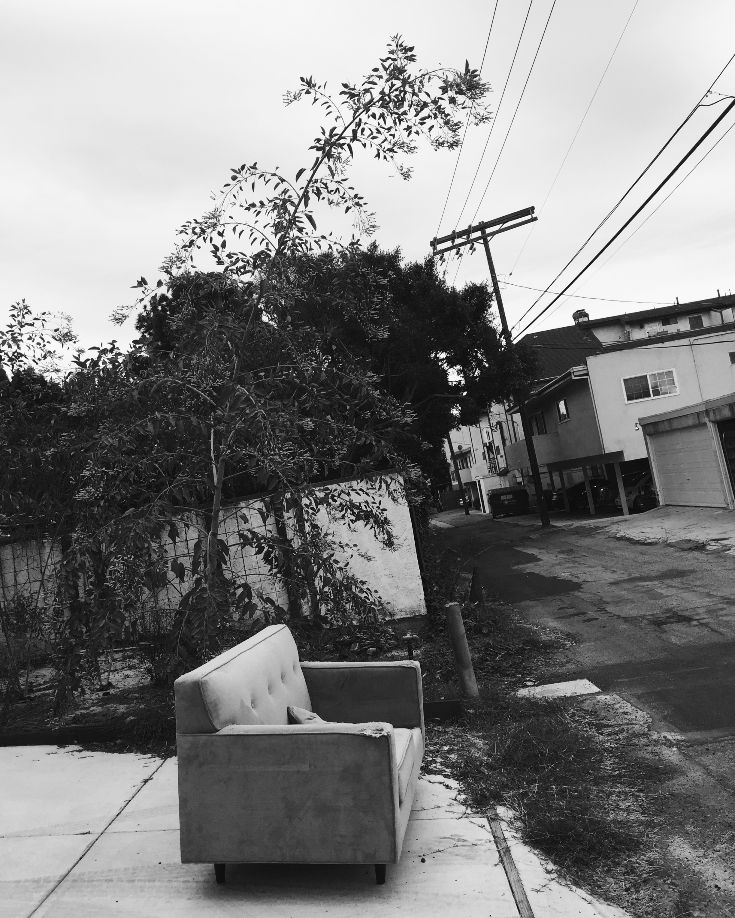 92D512A5-1902-442A-B484-1E23FD469A7E.jpeg