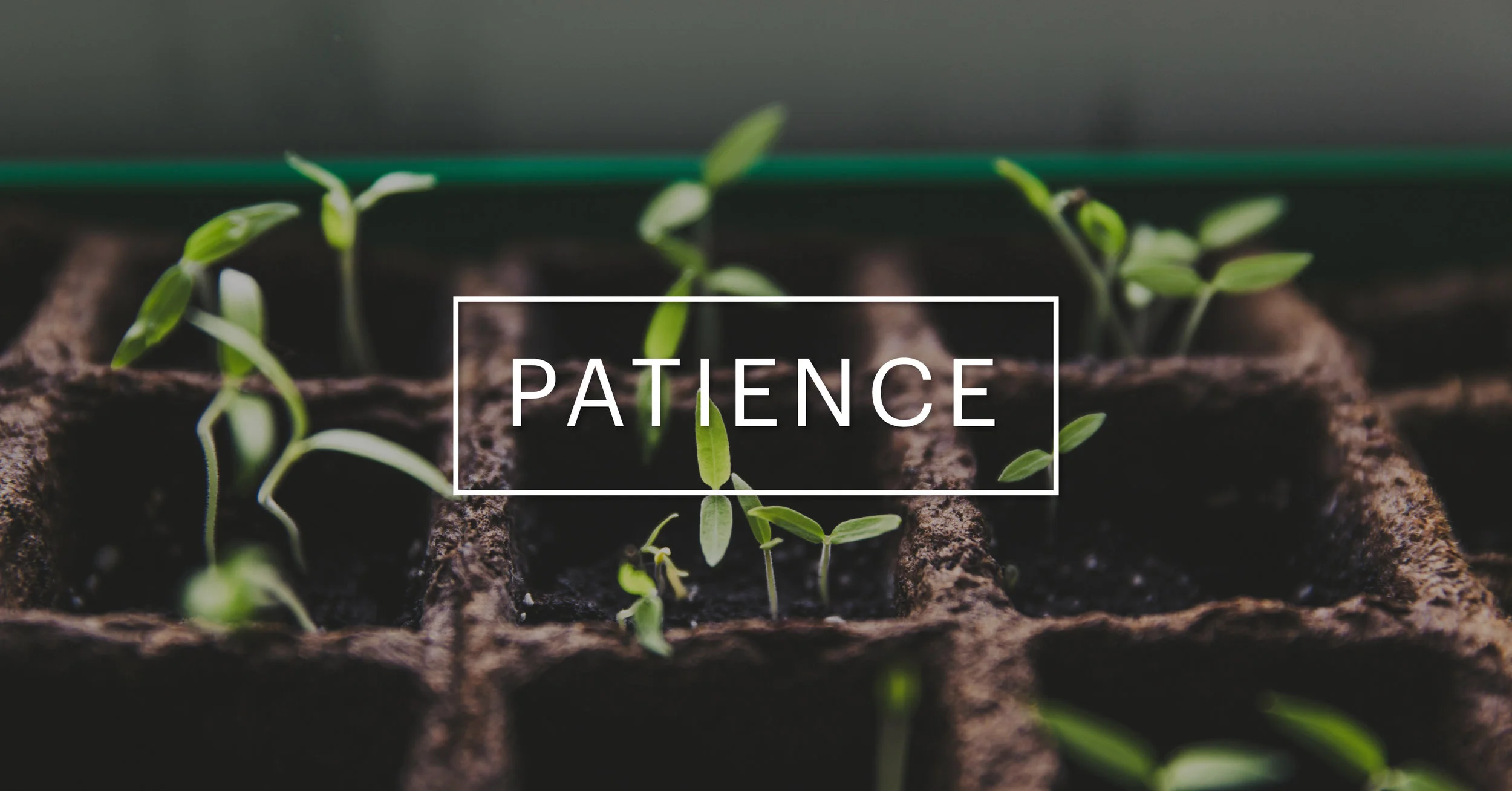 patience-header.jpg