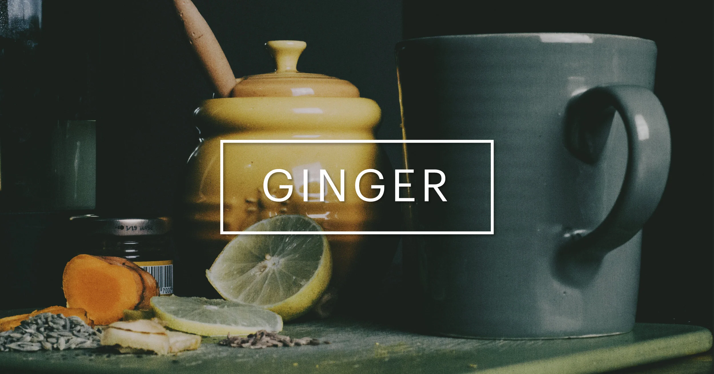 Ginger-header.jpg