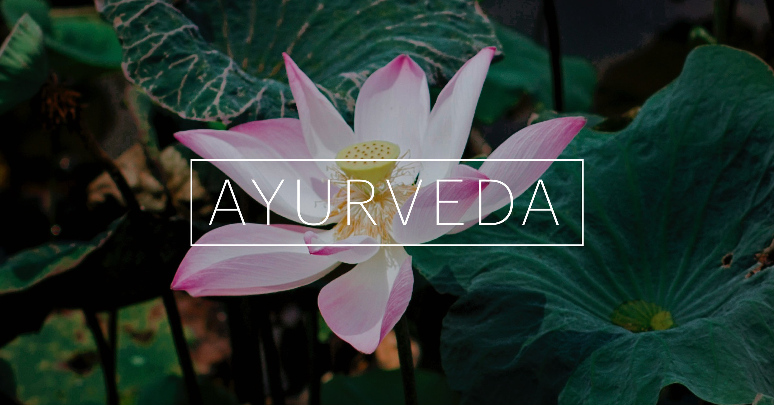header.jpg
