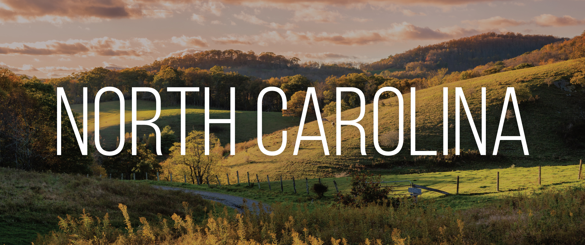 NC-Header.jpg