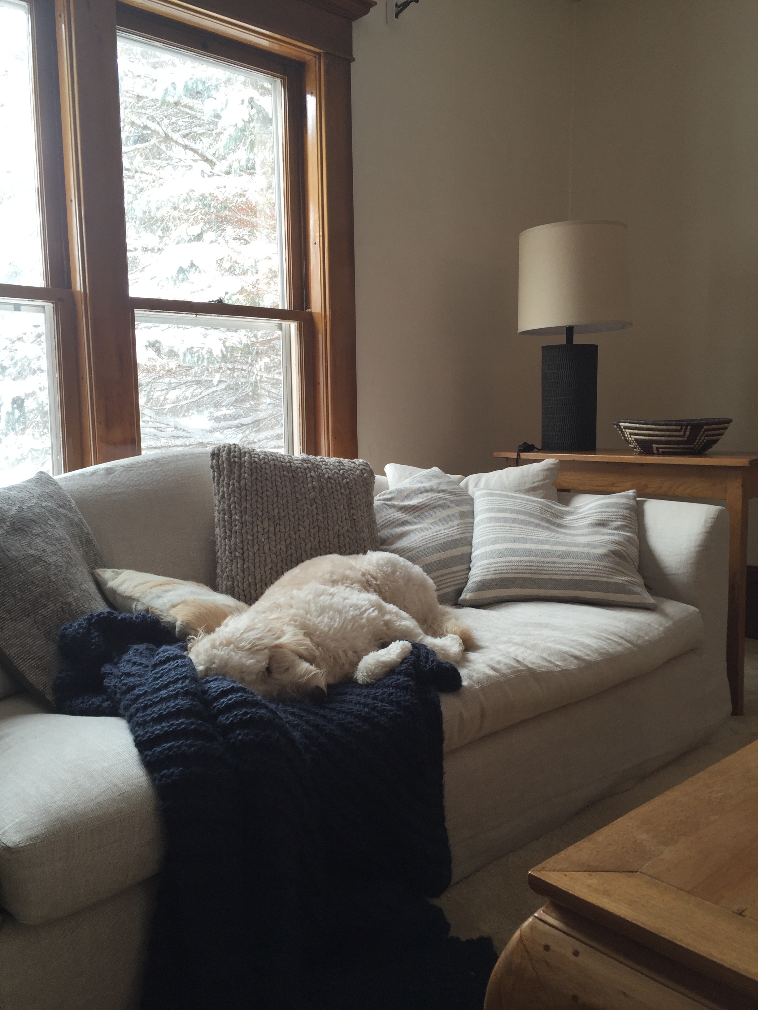 Even our dog gets in on the relaxation!