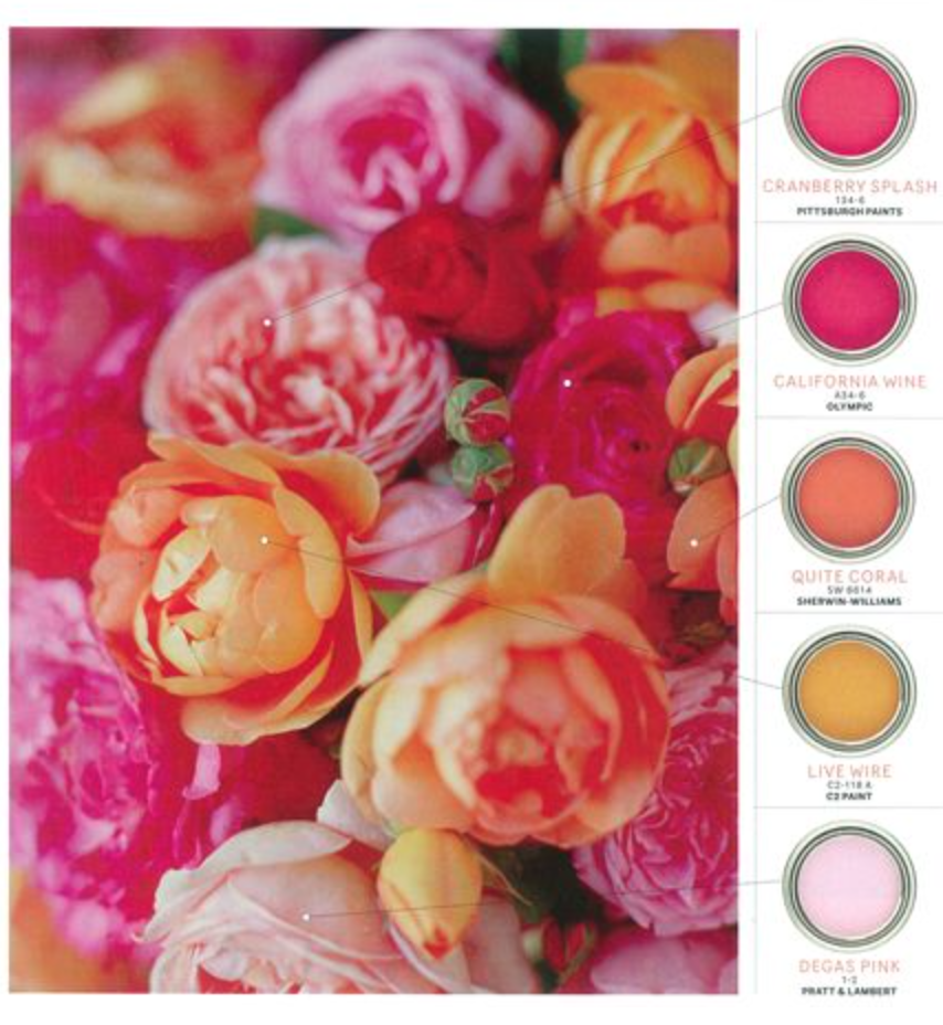 Fun colour scheme -