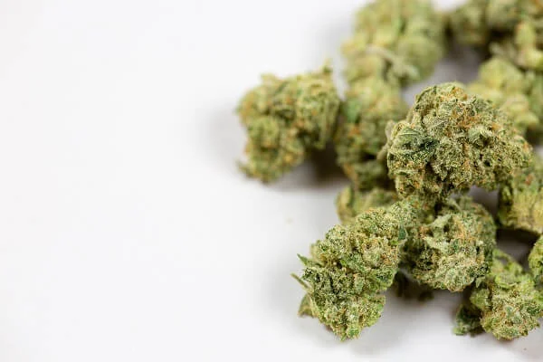 How Does the Legalization of Recreational Marijuana Use Affect Employee Rights in California?