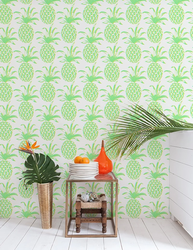 They even showed up in two of my recent projects. Pina wallpaper by Aimee Wilder, prop styling by Spaced Out.