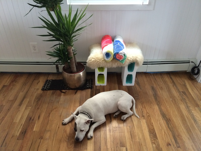 Kaya napping! A bench we built in the living room using cinder blocks, with a wood top covered in sheepskin.
