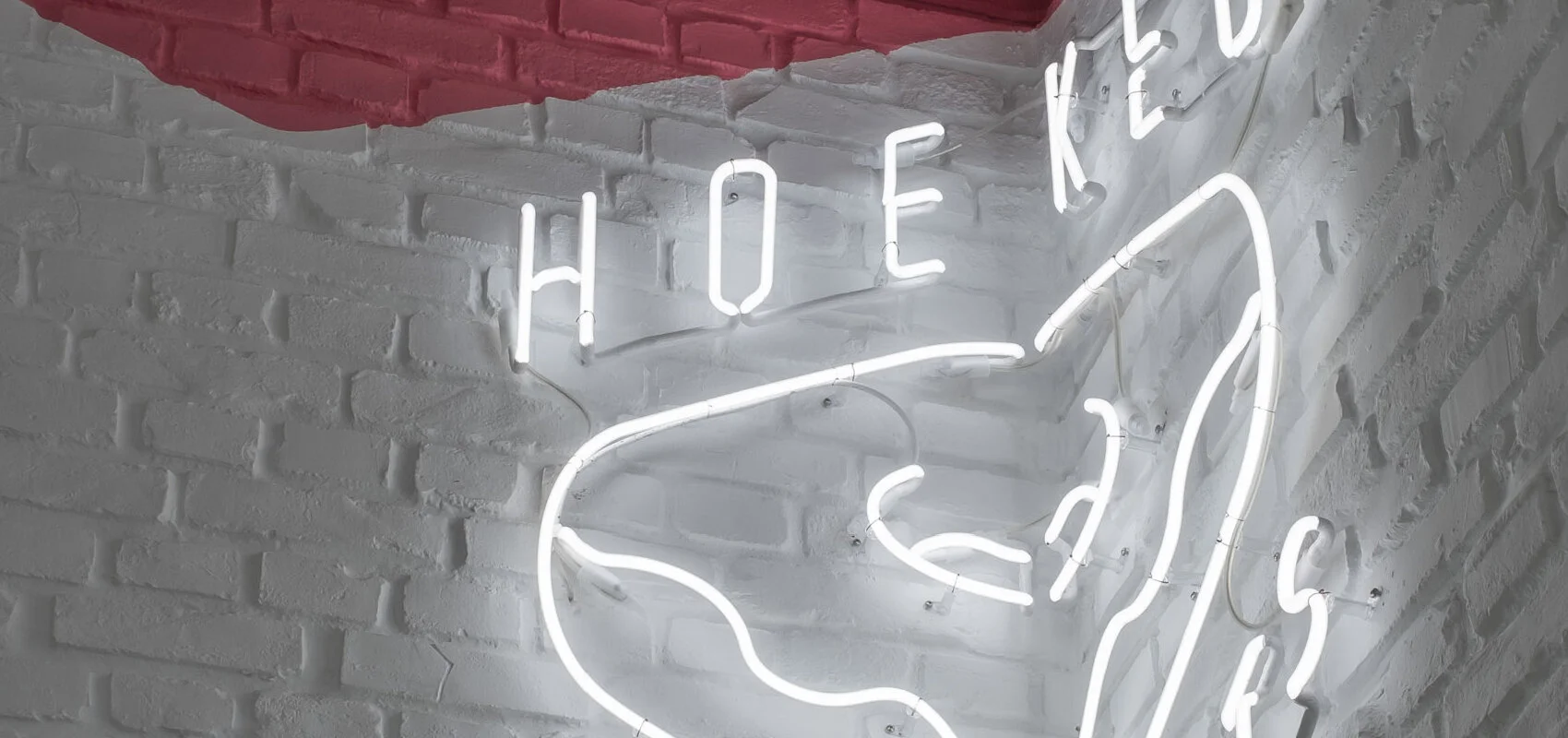vierkant + donuts = Hoeked