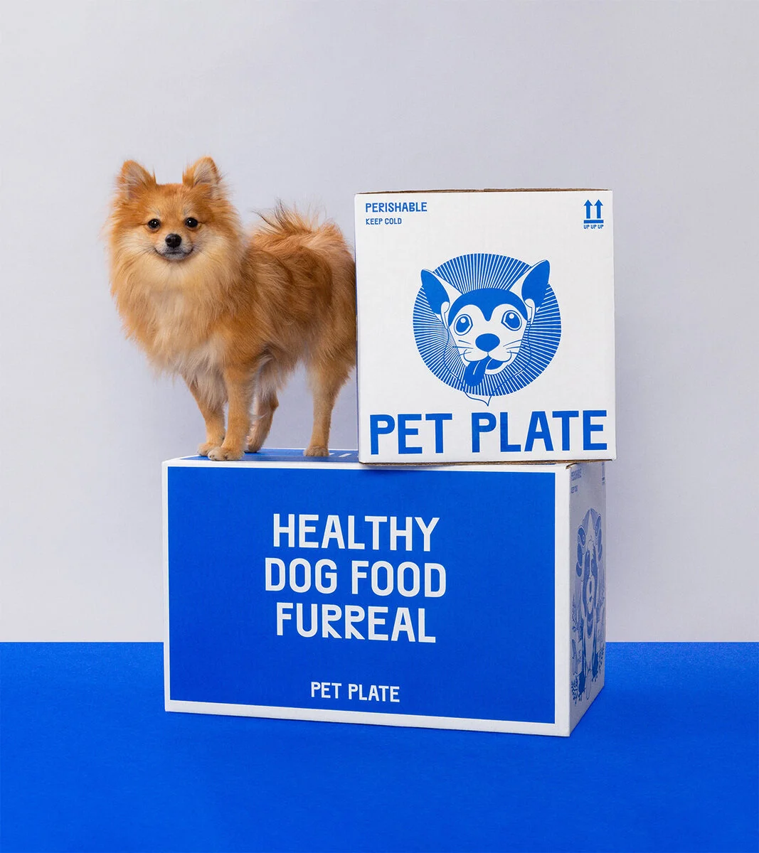 ±Hello Fresh + hondjes = Pet Plate