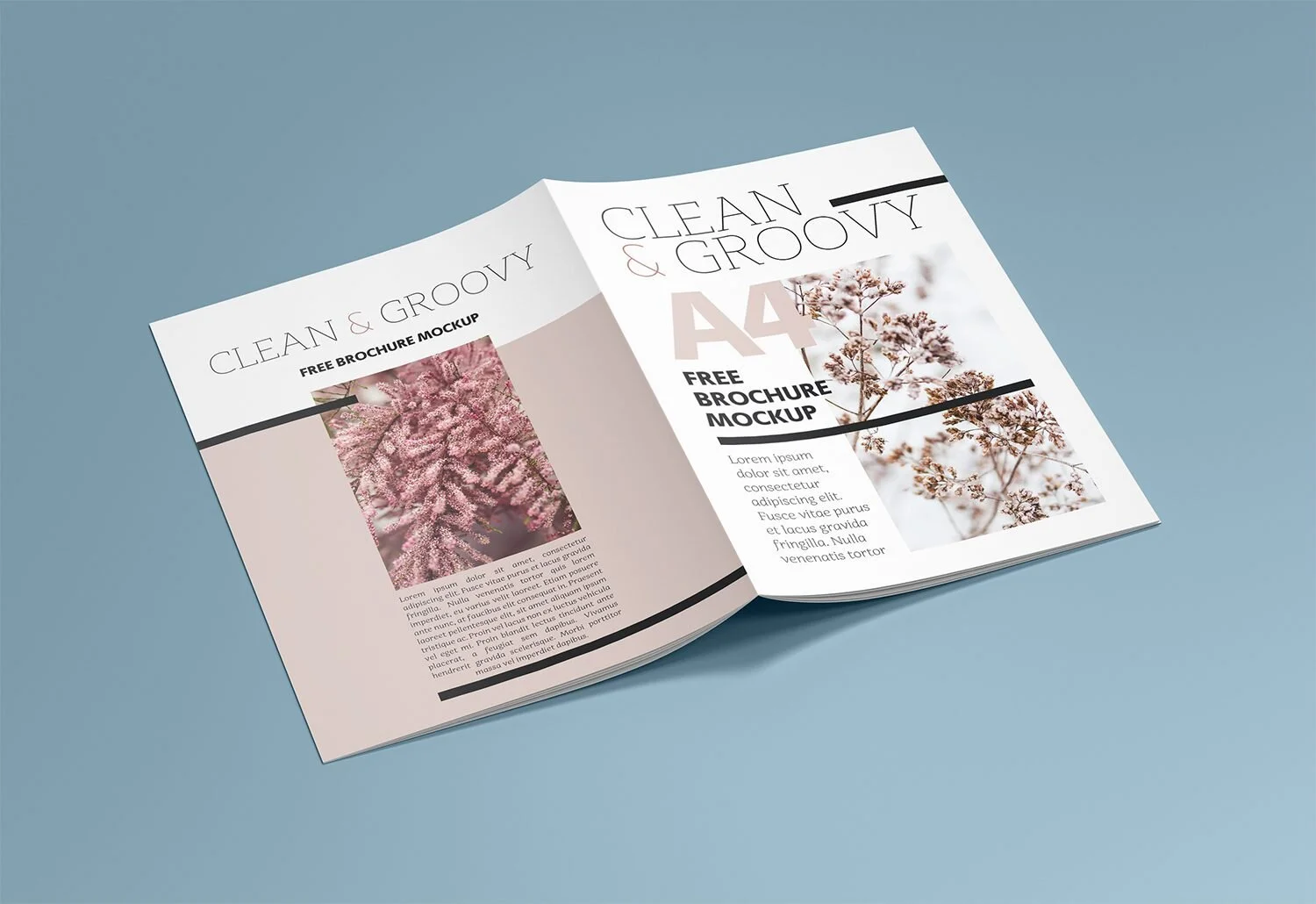 Free-A4-Brochure-Catalog-Mockup-05-1500x1030.jpg