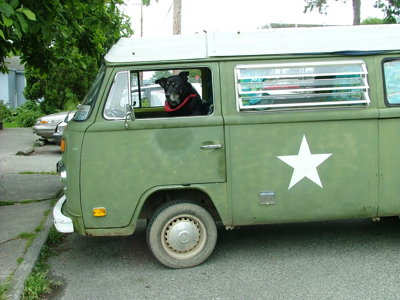 DEXTER, PARKED AT THE BURTON POST OFFICE IN HIS KEEPER'S 1972 VW ARMY BUS.