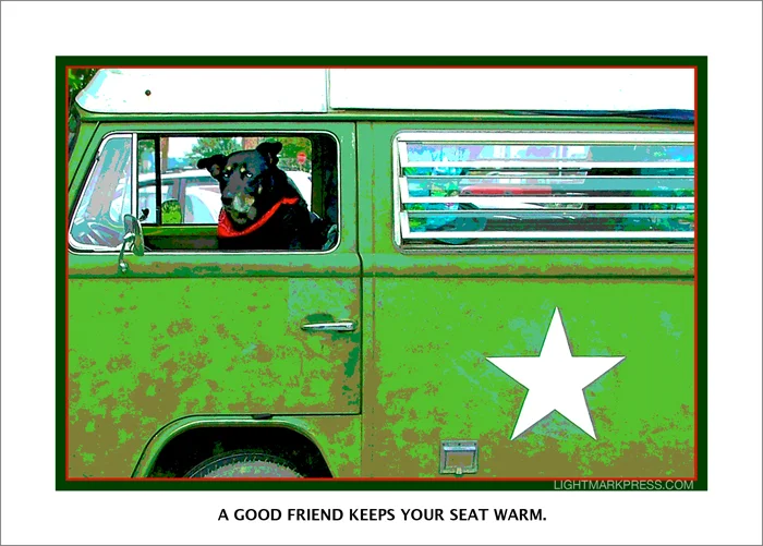 DEXTER, MEMORIALIZED. . . DON'T YOU LOVE HOW DOGS TAKE OVER THE DRIVER'S SEAT WHEN YOU LEAVE? 