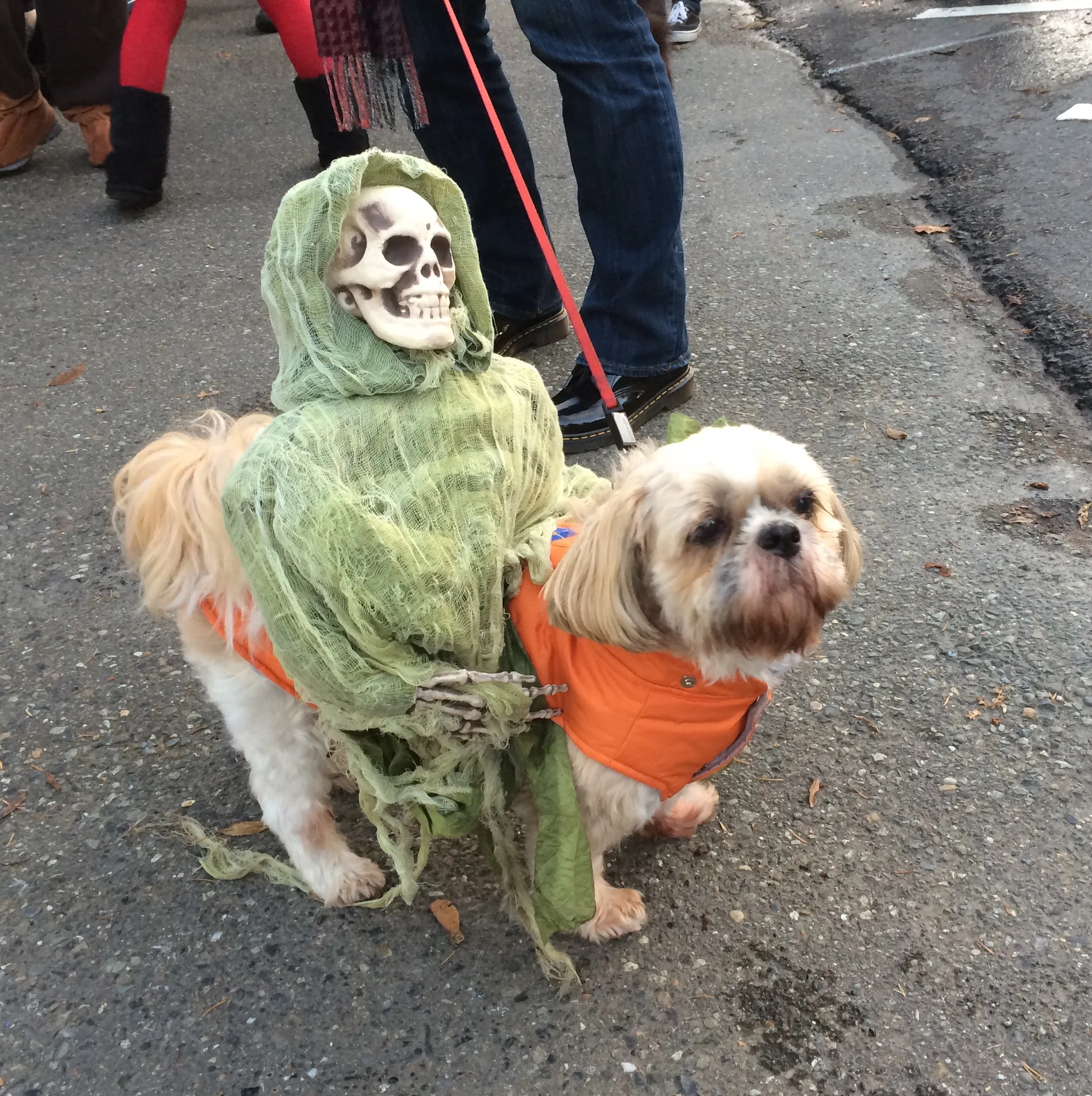What a contrast between Adorable and Freaky!