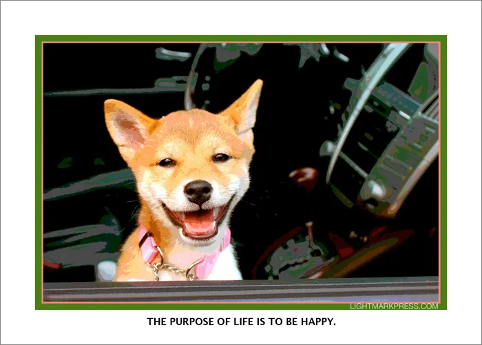 DC86 behappy.jpg