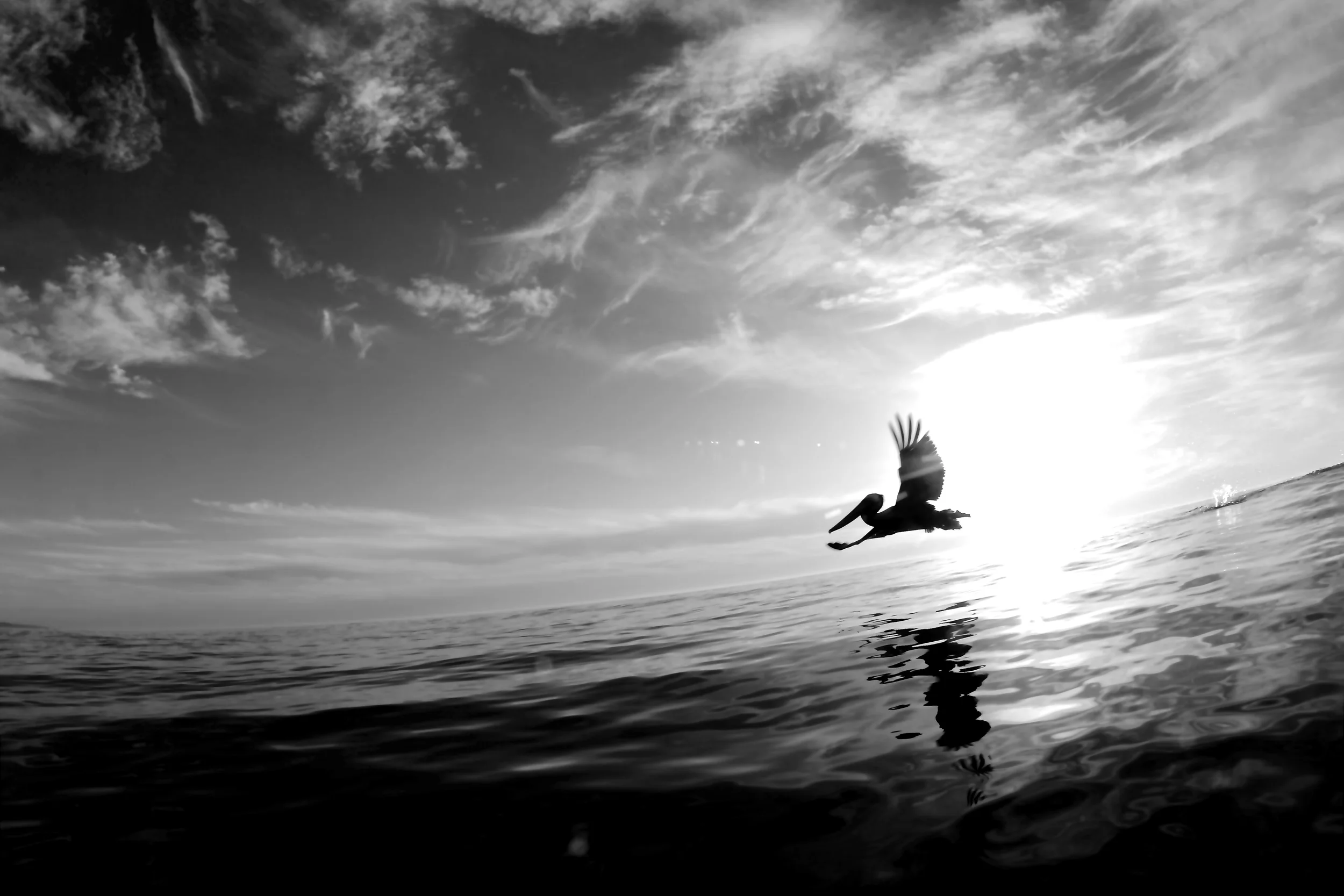 IMG_8493 - Version 2.JPG