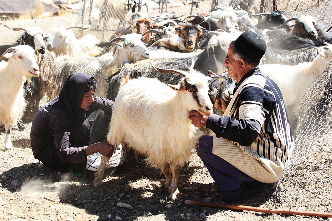 A small percentage of Bakhtiari are still nomadic pastoralists, migrating between summer quarters and winter quarters | Khoorang | I RAN