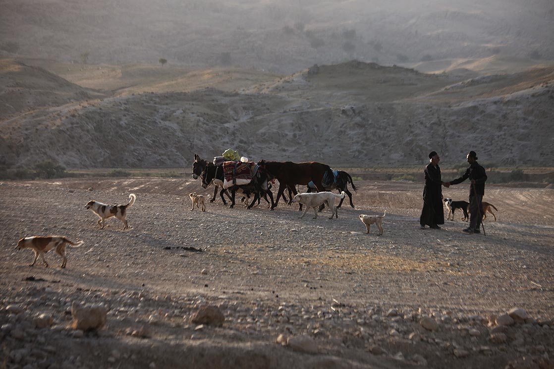 Each year they migrate with their herds of sheep, cattle, and goats from summer pastures on the high plateaus of the Chaharmahal valley , across the Zagros Mountains , to over-winter their herds on the lowland plains of Khoozistan | I RAN