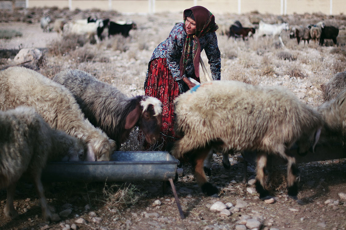 The nomadic women look very different from Iranian women as they wear very colorful clothing but no makeup / Habillées avec des couleurs vives, les femmes nomades contrastent avec les Iraniennes et d’autant plus que, contrairement à celles-ci, elles ne se maquillent jamais | IRAN